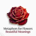 Metaphors for Flowers Beautiful Meanings 2026
